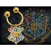 The Noble Collection Portachiavi Case di Hogwarts - Harry Potter - Ufficiale Noble Collection
