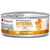 Disugual cat metabolic balance intestinal tacchino 85gr