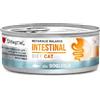 Disugual cat metabolic balance intestinal sogliola 85gr