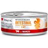 Disugual cat metabolic balance intestinal manzo 85gr