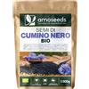 Amoseeds Semi di Cumino Nero Intero BIO 500G | Nigelle Sativa, Senza Additivi, Essiccati al Sole | Note Pepate, Piccanti | Qualità superiore