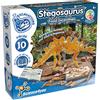 Science4you - Kit Dinosauri Stegosauro - Fossili da Scavare, Assemblare Gli 10 Pezzi di Dinosauro - Scheletro Dinosauro da Construire, Kit Paleontologo e Giochi Archeologia per Bambini +6 Anni