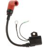 Eurowagens Accensione Bobina Ricambio 6R3-85570 per Yamaha 2 Tempi 150HP 200HP