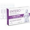Enterolife Probiotico Bacillus Clausii 2 Miliardi - Integratore Alimentare per l'Equilibrio della Flora Intestinale - 20 Fiale Orali da 5 ml - Senza Glutine e Lattosio