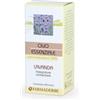 Farmaderbe Olio E. Lavanda 10Ml