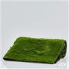 EDG Enzo De Gasperi Muschio Chic Artificiale 100 x 100 Cm Verde