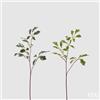 EDG Enzo De Gasperi Ficus Benjiamin Rex Ass. H 73 Cm Pianta Artificiale Bianco Verde 1 Pz