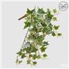 EDG Enzo De Gasperi Edera Bell Cadente Anti-UV H 50 Cm Pianta Artificiale Bianco Verde