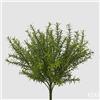 EDG Enzo De Gasperi Rosmarino Chic Cespuglio H 38 Cm Pianta Artificiale Verde Chiaro