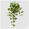 EDG Enzo De Gasperi Potus Cespuglio H 60 Cm Pianta Artificiale Bianco Verde