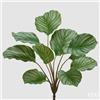 EDG Enzo De Gasperi Calathea Cespuglio x10 H 50 Cm Pianta Artificiale Verde
