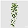 EDG Enzo De Gasperi Edera Cadente H 130 Cm Pianta Artificiale Verde