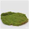 EDG Enzo De Gasperi Muschio Zolla Artificiale H 5 Cm D 40 Cm Verde
