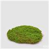 EDG Enzo De Gasperi Muschio Zolla Artificiale H 5 Cm D 30 Cm Verde