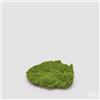 EDG Enzo De Gasperi Muschio Zolla Artificiale H 5 Cm D 20 Cm Verde