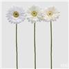 EDG Enzo De Gasperi Gerbera Ramo Ass. H 60 Cm D 12 Cm Pianta Artificiale Bianco 1 Pz
