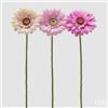 EDG Enzo De Gasperi Gerbera Ramo Ass. H 60 Cm D 12 Cm Pianta Artificiale Rosa Crem 1 Pz