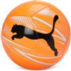 PUMA Grafica ATTACANTO