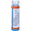 Hering Actea Racemosa*80 Granuli 5 Ch Contenitore Multidose