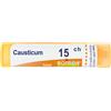 Causticum BOI Causticum*15Ch 80Gr 4G 4 g Granuli