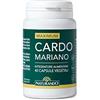 Naturando Maximum Cardo Mariano Integratore per la Funzionalità Epatica a Base di Cardo Mariano e Colina - 40 capsule
