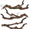 kathson Bastone naturale per pappagalli, posatoi per uccelli, bastoncini di uva selvatica, forchetta per macinare le zampe, parrocchetti, arrampicarsi, rami in piedi, giocattolo masticabile, accessori