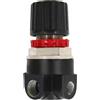 Abac 1129700735 - Regolatore di Pressione GM 2 - Regolazione da 0 a 10 bar