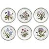 Portmeirion Botanic Garden - Set di 6 Piatti con Motivi Diversi, Diametro 20 cm, Colore: Bianco