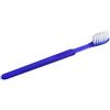 Lady house Asid Bonz 10 spazzolini monouso con dentifricio integrato, senza lattice, imballati singolarmente igienicamente, durata 3 anni, blu, manuali, spazzolino da denti usa e getta con dentifricio