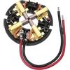 AIMVALUE Spazzole carboncini trapano avvitatore a impulsi smerigliatrice angolare levigatrice fresatrice seghetto compatibile motore per AEG Hilti Milwaukee M12 M18 C14PD C18PD C14DD CD18ID C18IW HD18PD HD18DD