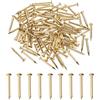 M METERXITY 100 Pcs Piccoli Chiodini, 2mm x 20mm Chiodi Di Precisione In Ottone Testa Tonda Per Legno/DIY Artigianato Decorativo/Accessori Per La Casa/Appendere Quadri