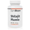 GymBeam Shilajit Mumio 74 g