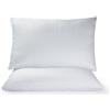 MyVorrei Coppia Federe a sacco in Puro Lino 100% | Misura cm 60x90 | Venduta in 2 Misure | Colore bianco