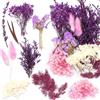 Jrzyhi fiori secchi naturali fiori asciutti colorati fiori selvatici secchi naturali fiori secchi impostati per fiori secchi per armeggiare per armeggiare per artigianato di artigianato epossidico decorazion