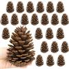 Larber 24 Pcs Pigne per Albero di Natale, 11-14cm Decorative Grandi per Artigianato, Tavolo, Vasi Riempitori, Decorazioni Invernali (Senza Profumo)