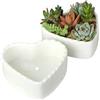 JHNIF 2 vasi per piante grasse a forma di cuore in ceramica bianca pura.