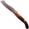 Nino Guardiagrele Mozzetta 17cm Coltello Chiudibile Corno Bue Artigianale