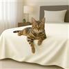 Byour3 - Copriletto in Cotone Misto ORGANICO Matrimoniale Letto Singolo Piazza e Mezza Coperta Pesante Lavabile Teli Arredo Multiuso Copritutto GrandFoulard Copridivano (Avorio, 1P e Mezza)