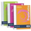 FAVINI CARTA PROTOCOLLO FAVINI A4 RIGATURA 1R 60 GR 30 FF A545414