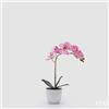 EDG Enzo De Gasperi Orchidea Phalaenopsis con Vaso e Foglie H 40 Cm Pianta Artificiale Fuchsia