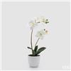 EDG Enzo De Gasperi Orchidea Phalaenopsis con Vaso e Foglie H 50 Cm Pianta Artificiale Bianco