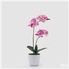 EDG Enzo De Gasperi Orchidea Phalaenopsis con Vaso e Foglie H 50 Cm Pianta Artificiale Fuchsia