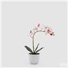 EDG Enzo De Gasperi Orchidea Phalaenopsis con Vaso e Foglie H 40 Cm Pianta Artificiale Rosa Chiaro
