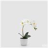 EDG Enzo De Gasperi Orchidea Phalaenopsis con Vaso e Foglie H 40 Cm Pianta Artificiale Bianco