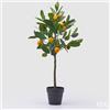 EDG Enzo De Gasperi Mandarino con Vaso H 76 Cm Pianta Artificiale Mix Verde