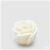 EDG Enzo De Gasperi Candela Rosa Sugar H 9 Cm D 11 Cm Avorio
