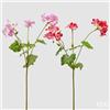 EDG Enzo De Gasperi Geranio Ramo con Foglie Ass. H 75 Cm Pianta Artificiale Rosa Scuso o Chiaro 1 Pz