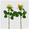 EDG Enzo De Gasperi Rosa Bocciolo Olis 3 Fg Ramo Ass. H 51 Cm Pianta Artificiale Verde Chiaro 1 Pz