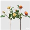 EDG Enzo De Gasperi Rosa Olga Olis Ramo Ass. H 62 Cm Pianta Artificiale Giallo Arancione 1 Pz
