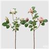 EDG Enzo De Gasperi Rosa Olga Olis Ramo Ass. H 62 Cm Pianta Artificiale Bianco Rosa 1 Pz